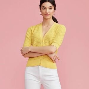 Ann Taylor Pointelle Knit Cardigan Sweater